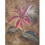 Peter Thorneycroft (British, 1909-1994), ‘Single Poinsettia’ oil on board, of a Poinsettia. Signed
