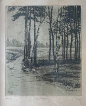 Emil Singer (Austrian, 1881-1942), ‘Waldwiese’ etching on paper. Signed in plate and in pencil to