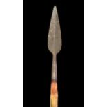 Large bamboo shafted spear with long leaf shaped iron spearhead, stripped bamboo shaft, spear tip