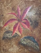 Peter Thorneycroft (British, 1909-1994), ‘Single Poinsettia’ oil on board, of a Poinsettia. Signed