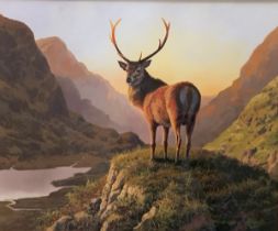 Adrian Rigby (British, b. 1962), Stag, gouache on card painting of a Stag in a mountainous