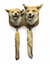 Taxidermy: A pair of fox masks and tails on a wooden shield. Shield measures 38 x 28cm.