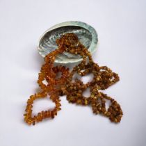 a faux amber necklace and an abalone shell