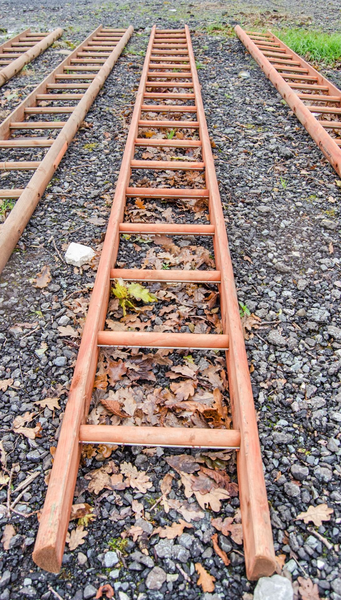 Wooden pole ladder A1216757