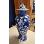 Blue and White Chinese Prunus Floral Lidded Baluster Vase with Foo Dog Finial - H approx 36cm