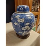 Early 20th Century Chinese Ginger Jar & Stand