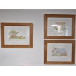 Trio of Large Well Framed 'Guess How Much I Love you' Anita Jeram Rabbit Collectors Edition Prints