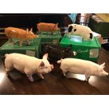 Collection of Six Beswick Pig Figures - Three Boxed