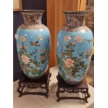 Pair of Large Antique Turqouise Blue & Avian Birds Chinese Cloisonne Vases - 41cm high