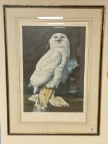 Limited Edition (Pelham Editions) 1973 Gallery Proof by B.L. Driscoll (1926-2006) of a Snowy Owl - 8