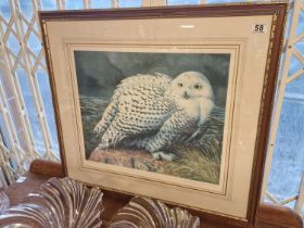 Limited Edition (Pelham Editions) 1965 Gallery Proof by B.L. Driscoll (1926-2006) of a Snowy Owl - 7