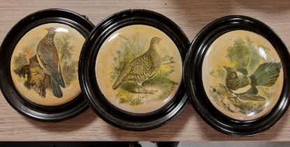 Trio of Antique Framed Prattware Pigeon & Grouse Plates Lids