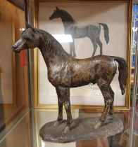 The Arab' Horse Bronzed Figure & Certificate