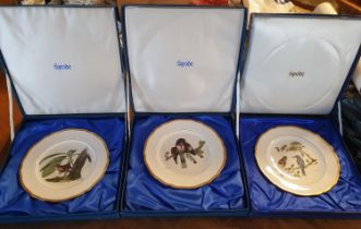 Collection of Nine Boxed Spode Wildlife Bird Plates