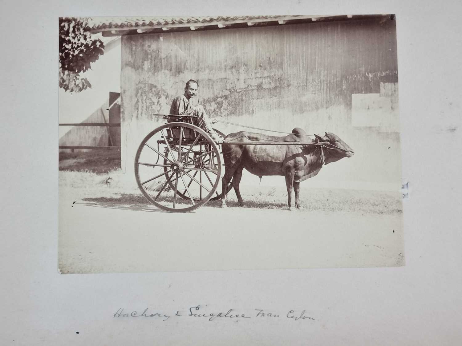 Ceylon (Sri Lanka) Interest - Photograph and watercolour album - Image 9 of 26