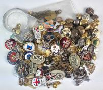 A large collection of British military badges and buttons, including South and North