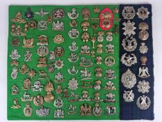 Collection of British Regimental Army cap badges