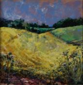 Mary Jane Alexander (British 20th Century) Rural Landscape with Fields