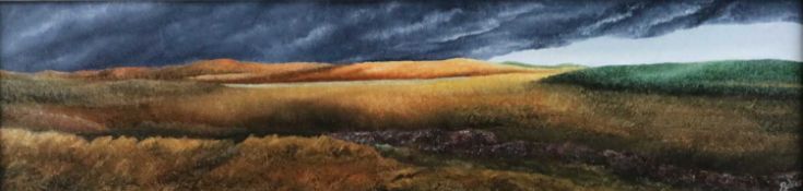 Robin Bradbury (British b.1950) Storm Clouds over Denbigh Moor