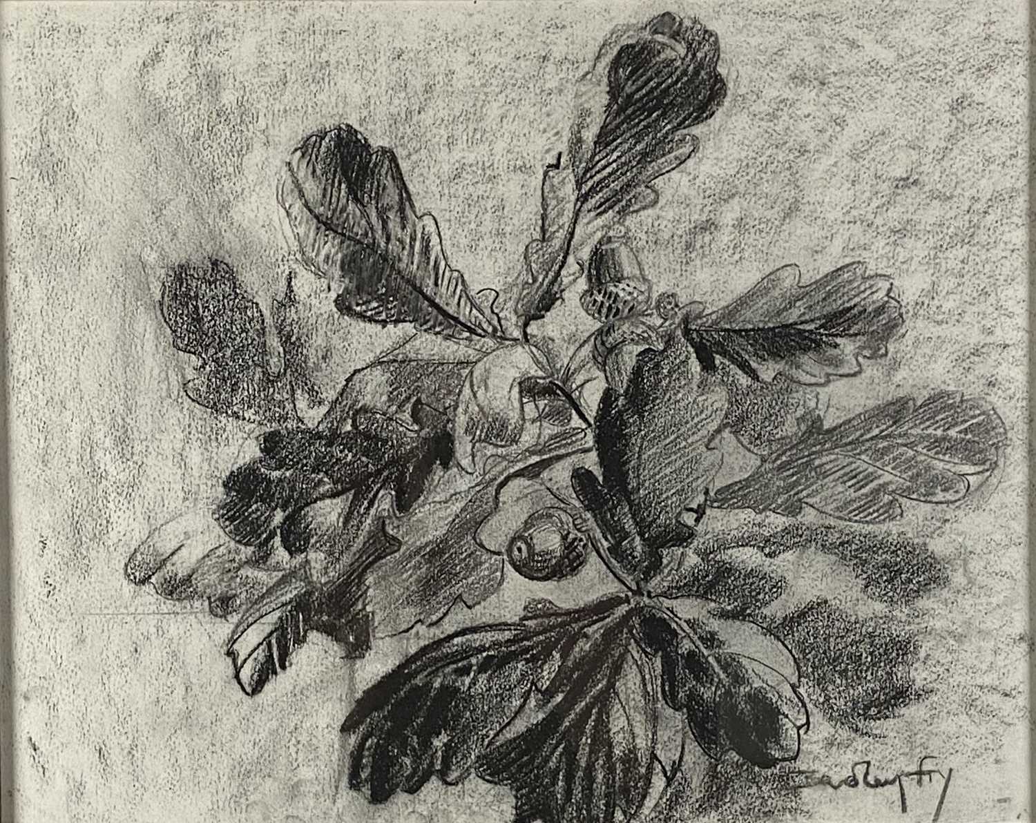 Beverley Fry (b.1948) Acorns and Oak Leaves