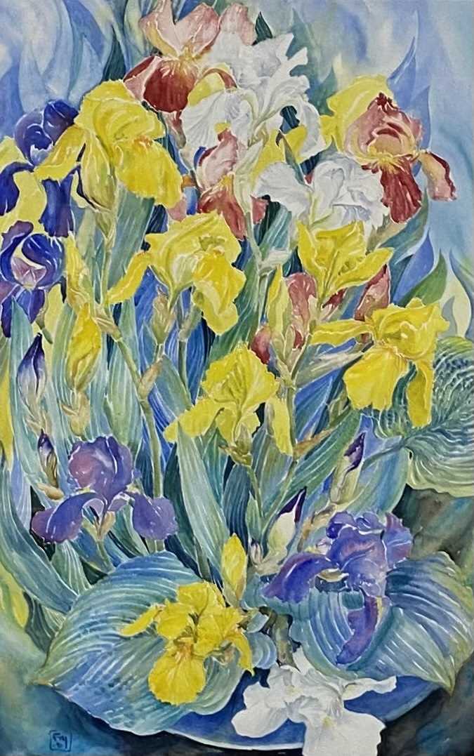Beverley Fry (b.1948) Garden Irises