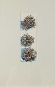 Beverley Fry (b.1948) Three Fir Cones