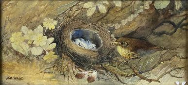 Reginald Hardy Austin (1890-1955) Thrush Bird Nest