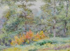 Edward Steel Harper Jnr (1878-1951) A Herefordshire Woodland