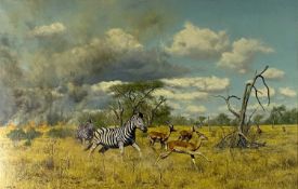 Anthony Gibbs (b.1951) Zebra and Impala escaping a Bush Fire