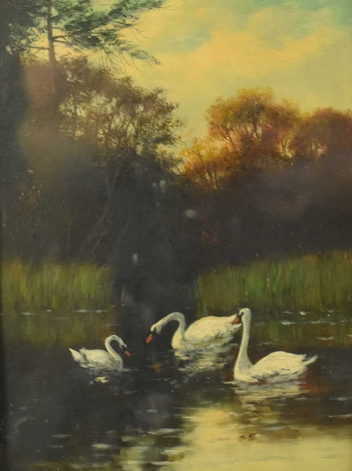 William Frederick Hulk (1852-1922) Pool and River Scenes with Ducks and Swans - Image 4 of 12