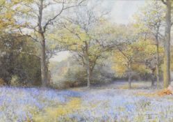 Earnest Albert Chadwick RBSA RI (1876-1955) Bluebell Wood