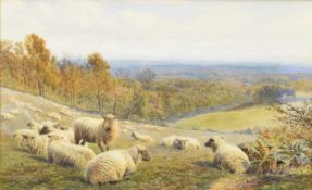 Frederick Williamson (1835-1900) Sheep Resting