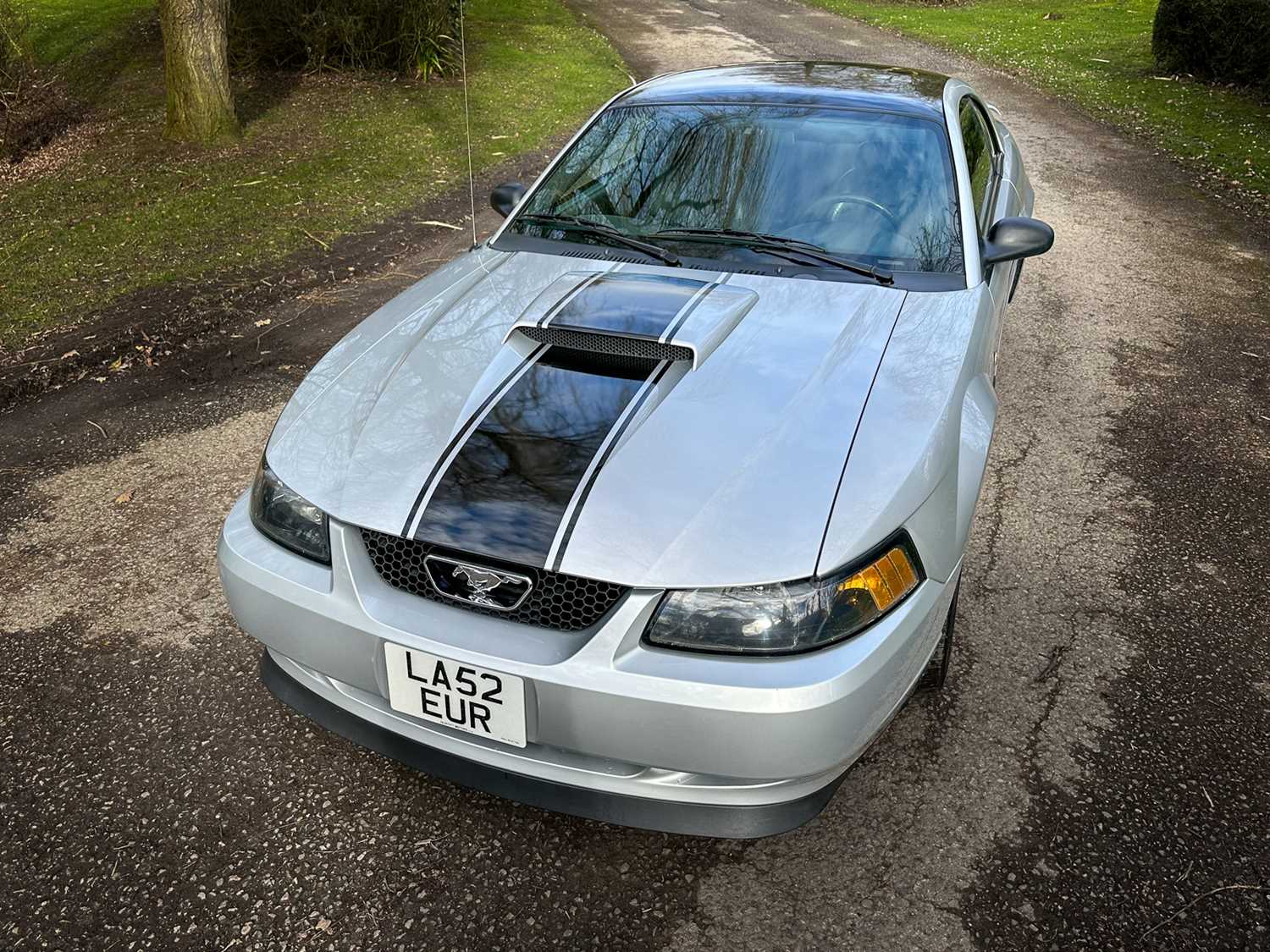 2003 Ford Mustang GT 4.6 ***NO RESERVE*** - Image 5 of 99