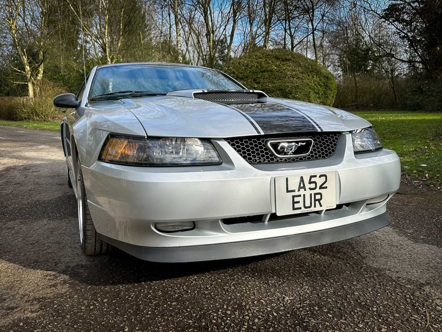 2003 Ford Mustang GT 4.6 ***NO RESERVE*** - Image 2 of 99