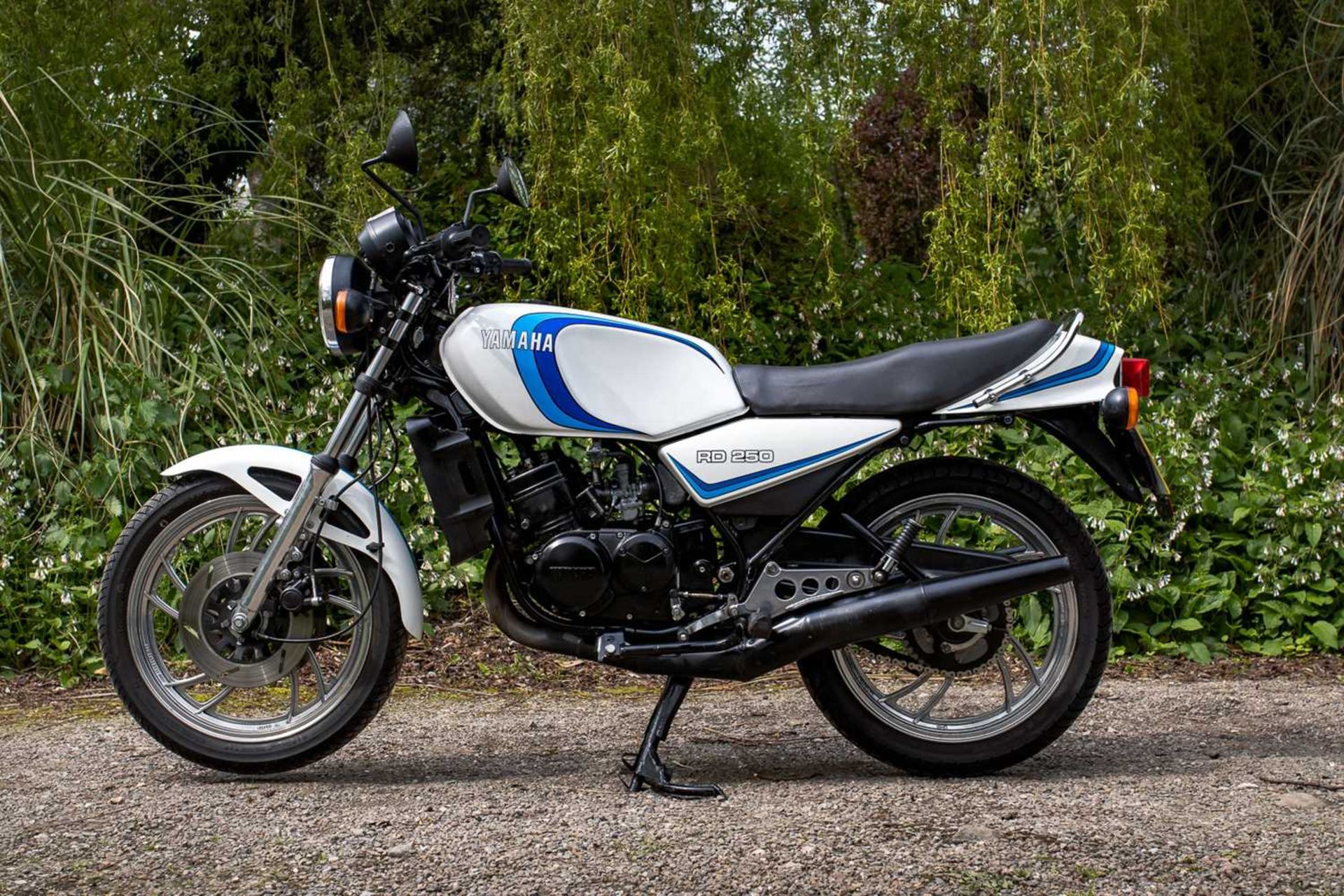 1980 Yamaha RD250LC - Bild 5 aus 46