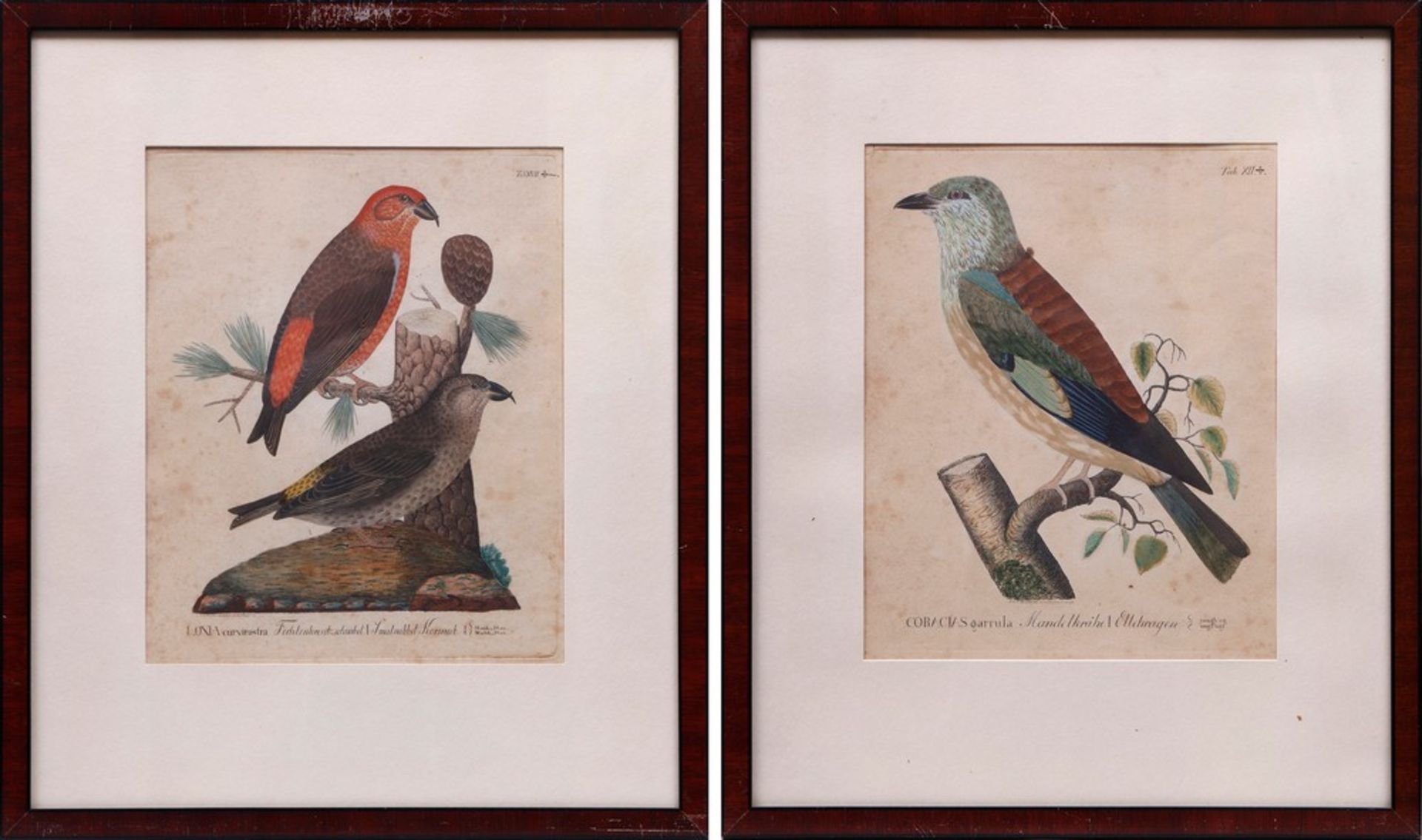 2 colored engravings, German/Danish, 1st half 19th C.