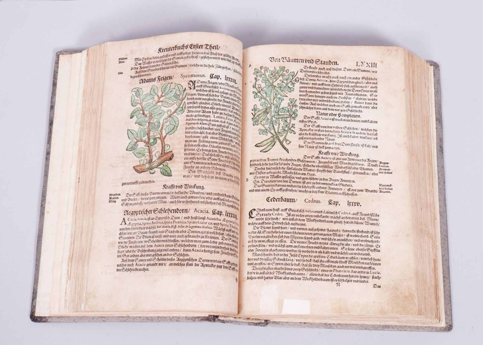 Buch, Adam Lonitzer (1528, Marburg - 1586, Frankfurt am Main)  - Bild 4 aus 9