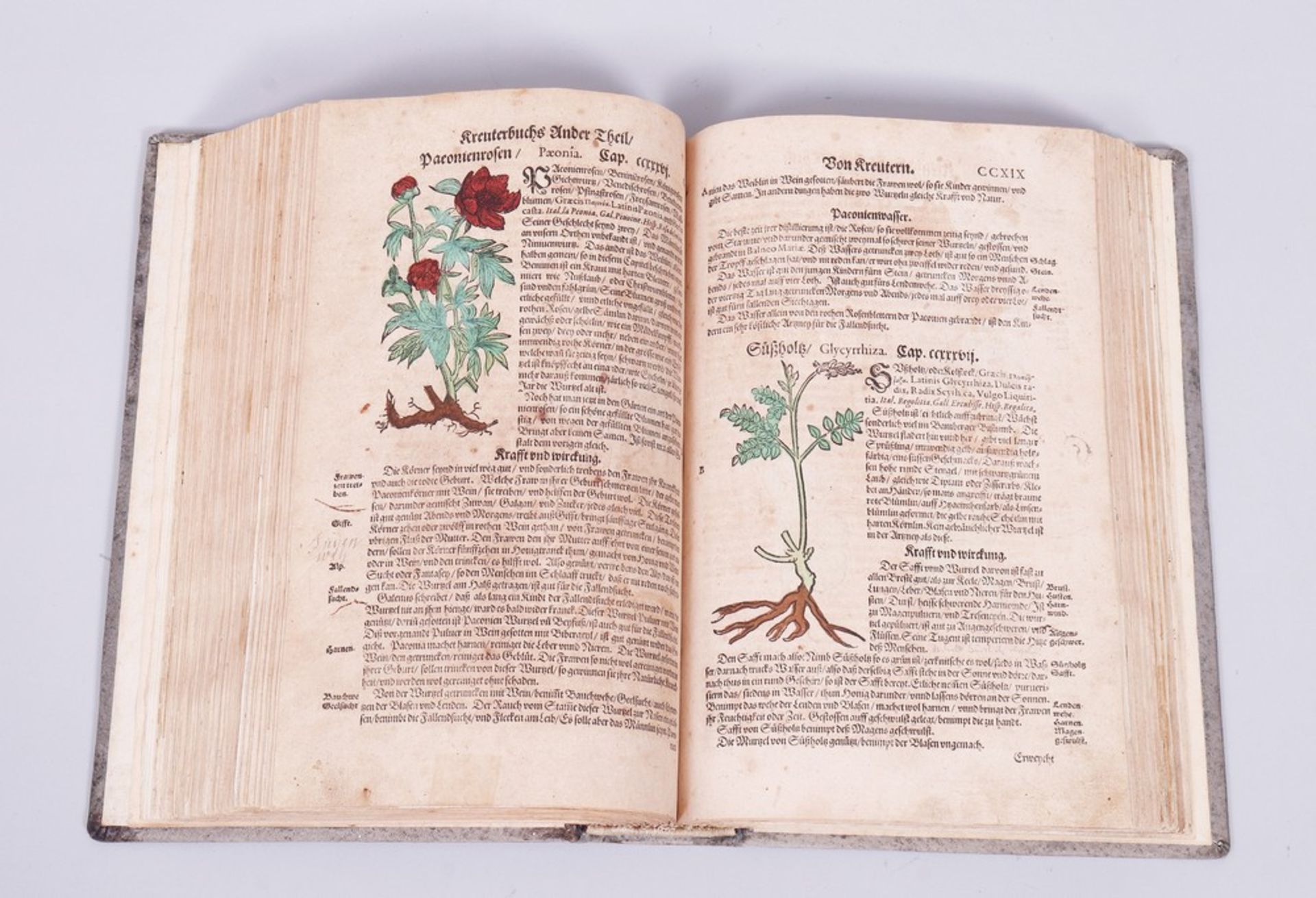 Buch, Adam Lonitzer (1528, Marburg - 1586, Frankfurt am Main)  - Bild 7 aus 9