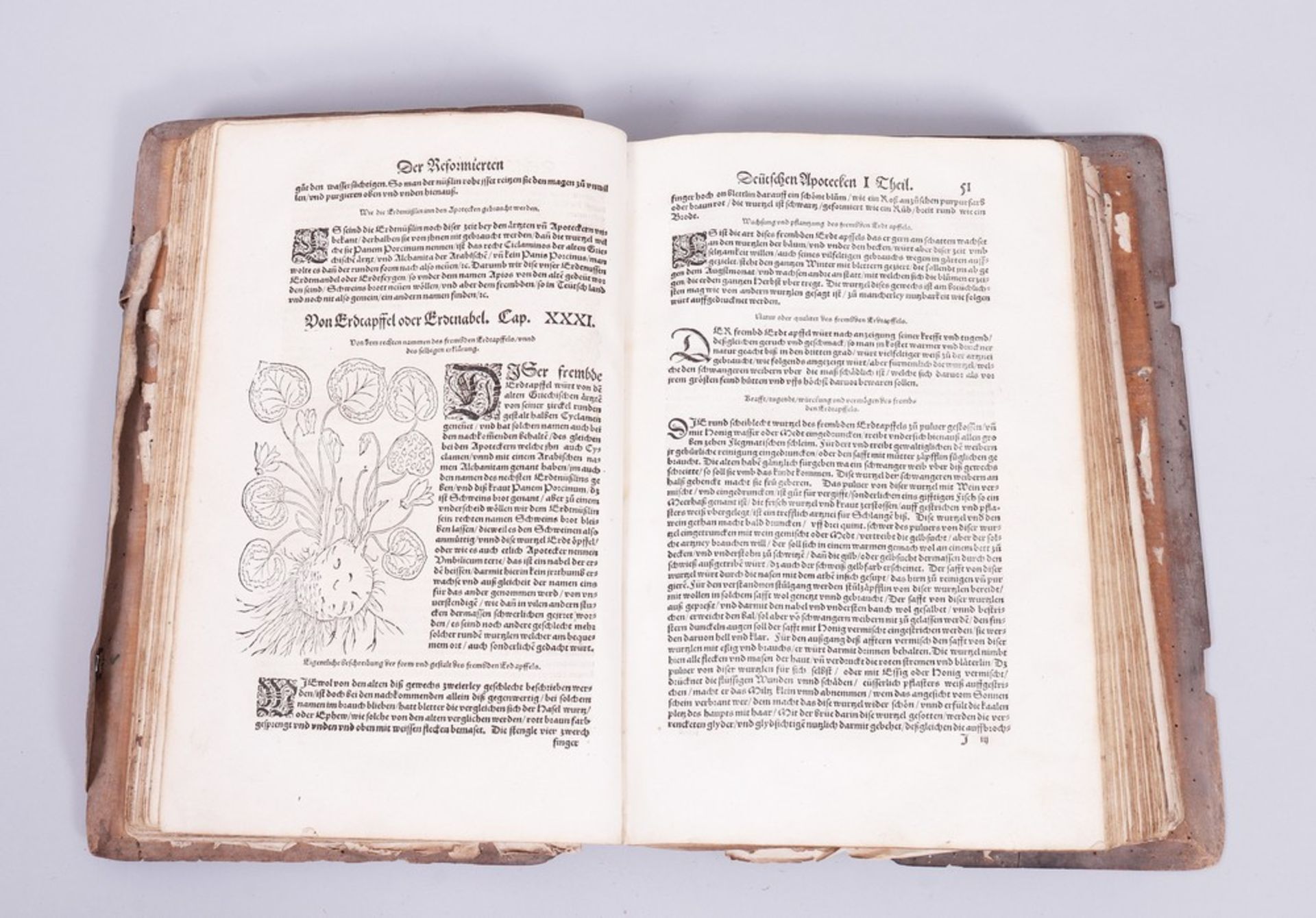 Herb book, Walther Hermann Ryff (around 1500, maybe Strasbourg - 1548 in Würzburg)