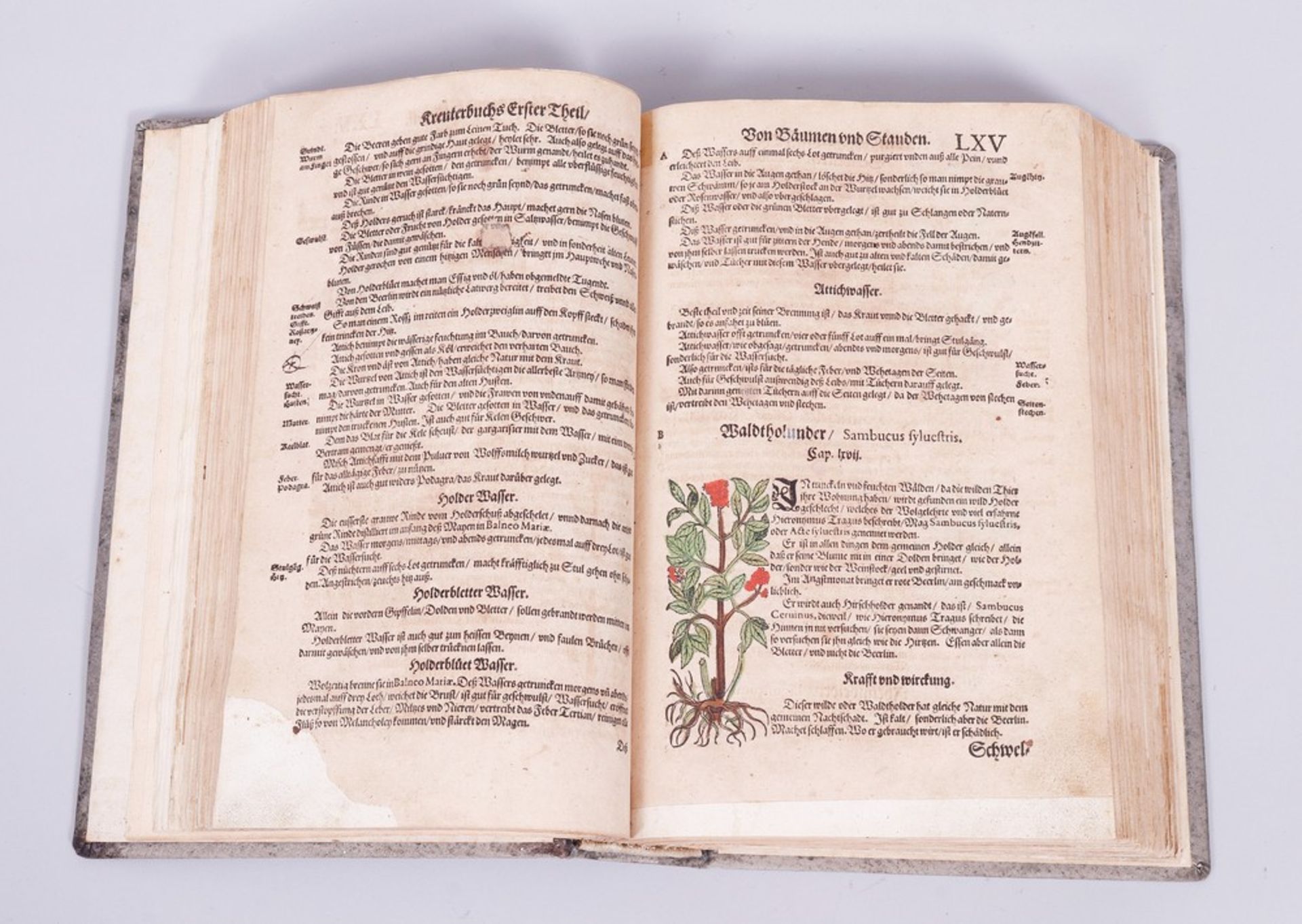 Buch, Adam Lonitzer (1528, Marburg - 1586, Frankfurt am Main)  - Bild 3 aus 9
