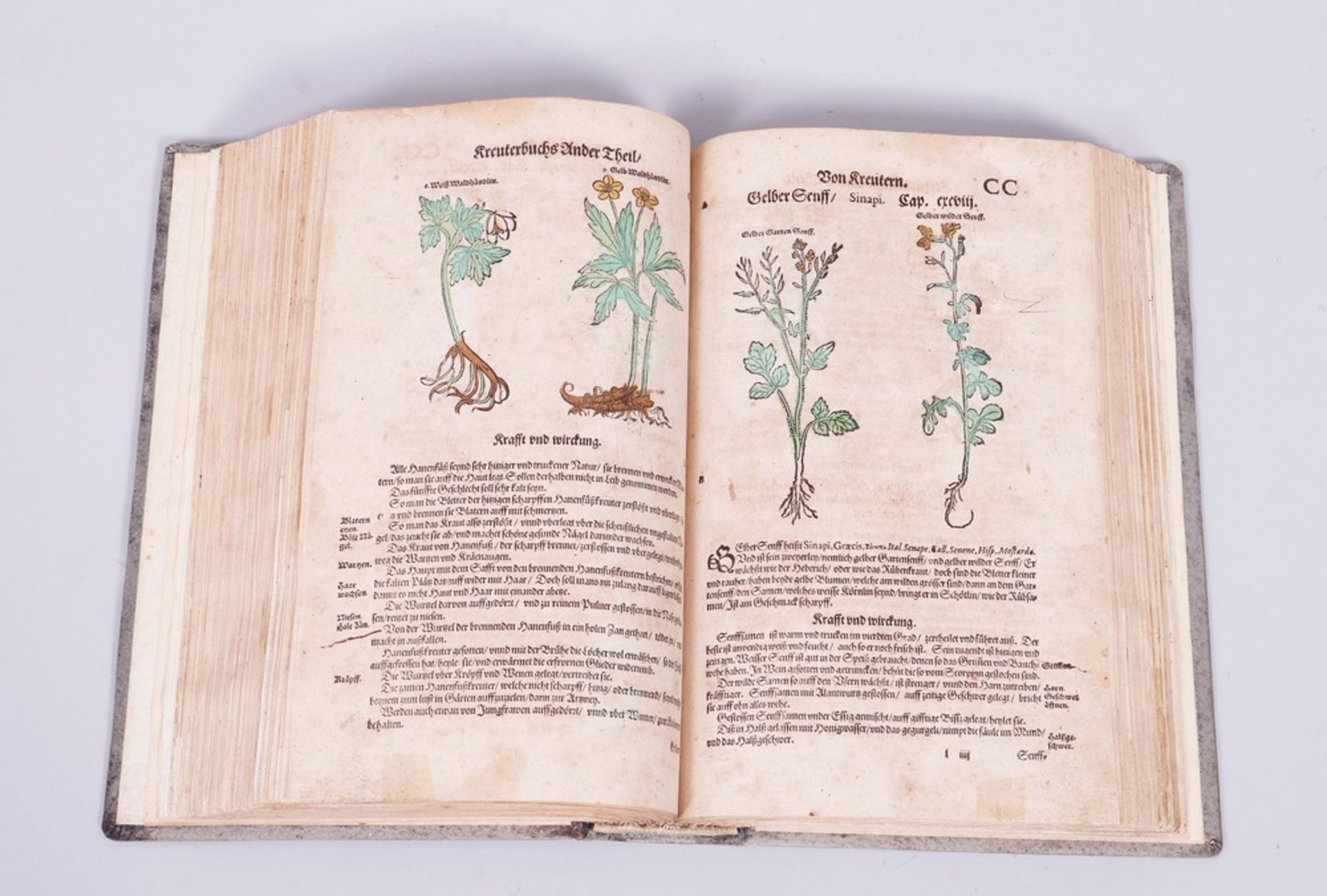 Buch, Adam Lonitzer (1528, Marburg - 1586, Frankfurt am Main)  - Bild 6 aus 9