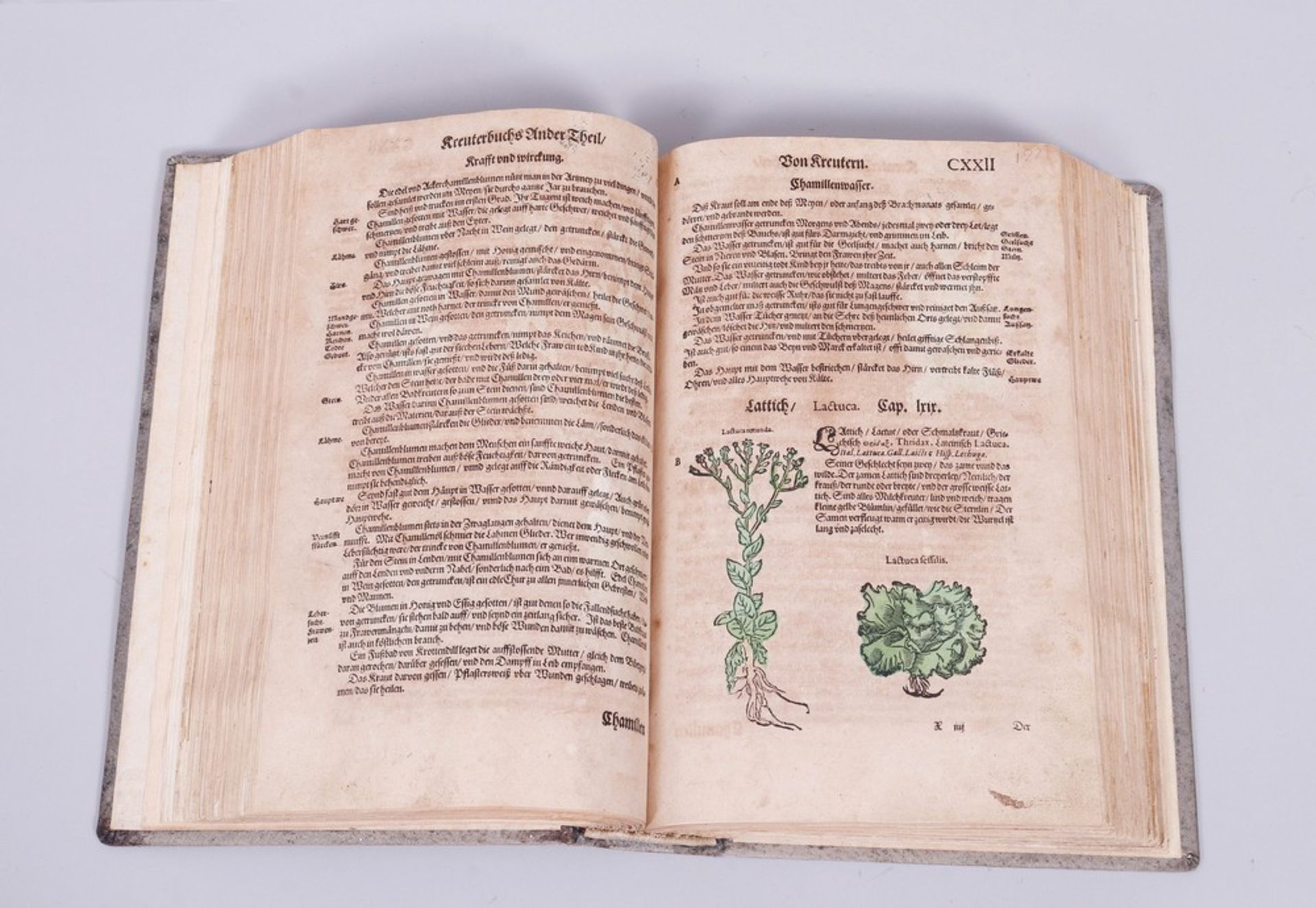 Buch, Adam Lonitzer (1528, Marburg - 1586, Frankfurt am Main)  - Bild 5 aus 9