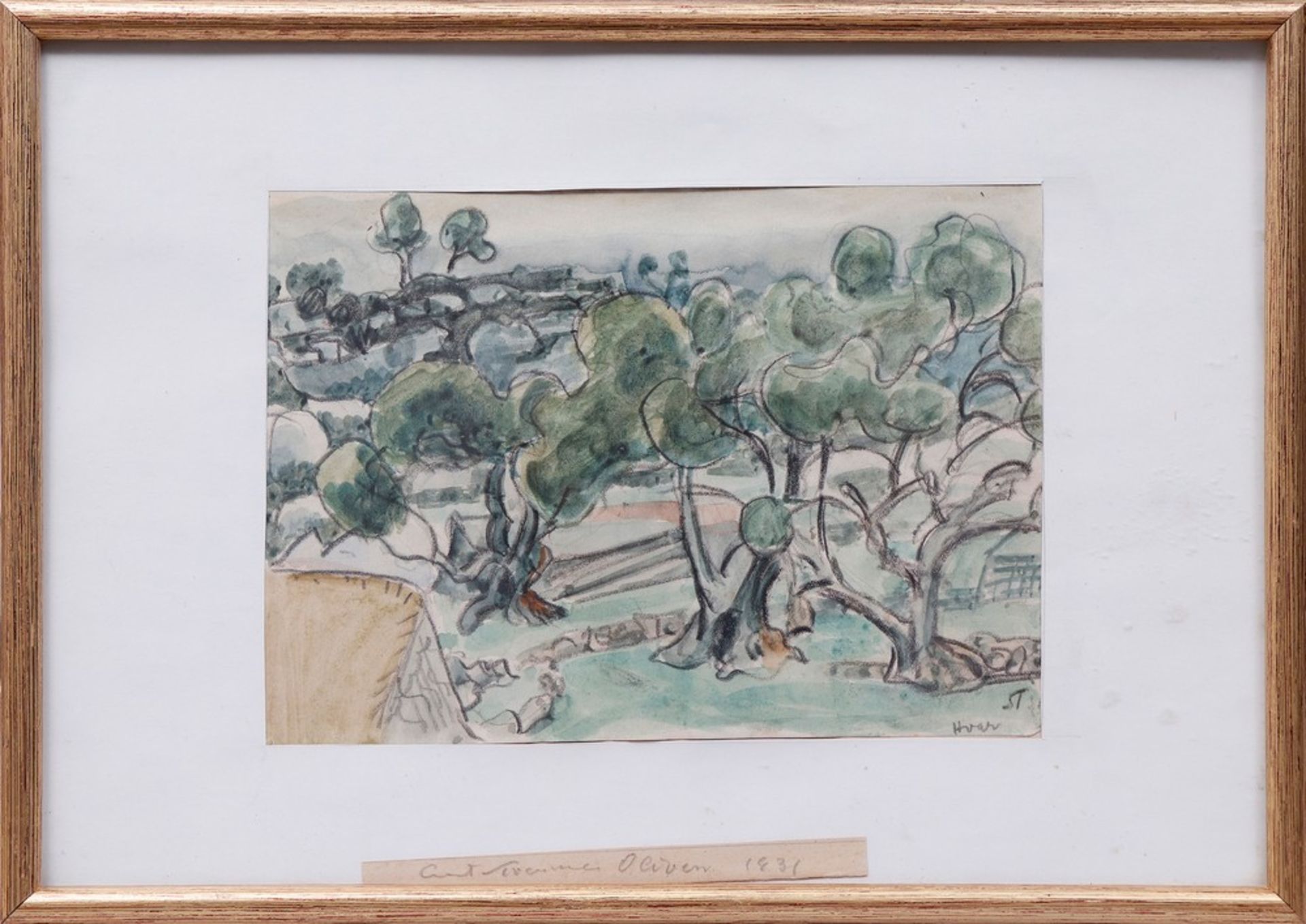 Olive grove, 1931