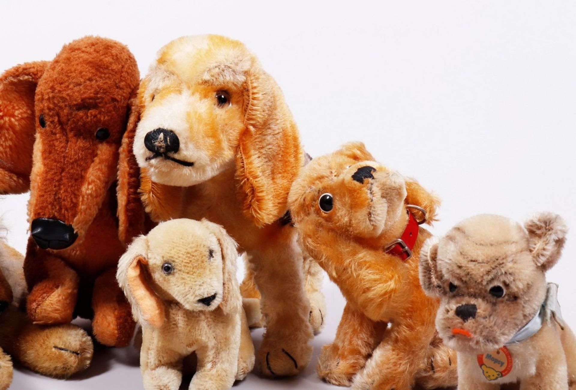 Mixed lot of softtoys, dogs, Steiff and others, middle/2. Half 20th C., 8 pieces - Image 2 of 4