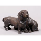 Pair of dachshunds, probably German, 1st half 20th C.