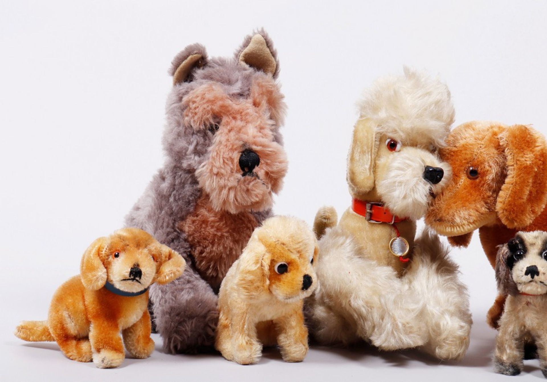 Mixed lot of softtoys, dogs, Steiff and others, middle/2. Half 20th C., 8 pieces - Image 2 of 4