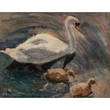 English School, 20th Century  Swan and Signets  oil on board, 28 x 35cm  signed lower left "Dunlop"