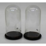 A pair of taxidermists glass domes, each on wood plinth and ball feet, diameter of domes 19cm,