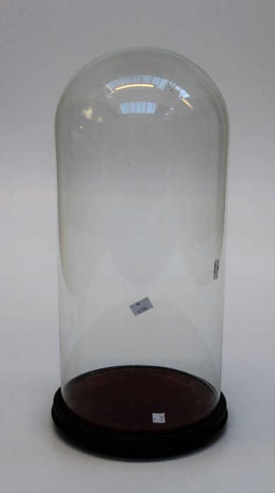 An Edwardian taxidermist's glass dome, on circular plinth and turned feet. Dome height 49cm, dome