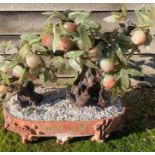 A late 20th century Chinese hardstone large model of Bonsai fruiting apple tree.